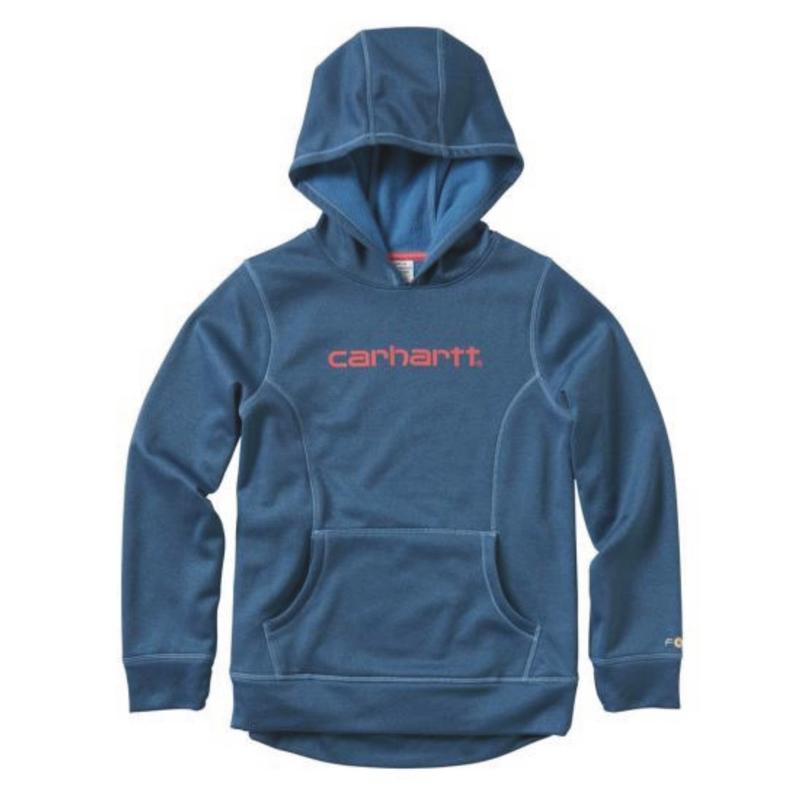 carhartt sweatshirt on sale